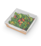 Контейнер OSQ OPSALAD 900