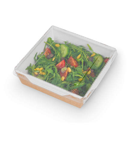 Контейнер OSQ OPSALAD 900