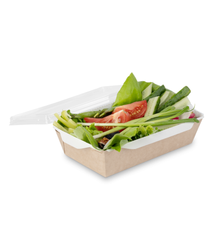 Контейнер OSQ OPSALAD 1000