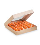 Контейнер OSQ TABOX PRO 2500