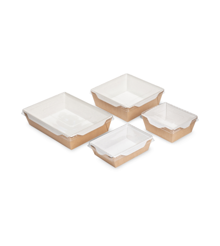 Контейнер OSQ OPSALAD 350