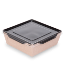 Контейнер OSQ OPSALAD 1200 BE