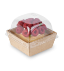 Контейнер OSQ SMARTPACK 300