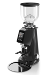 Профессиональная кофемолка FIORENZATO F4 ЕVO