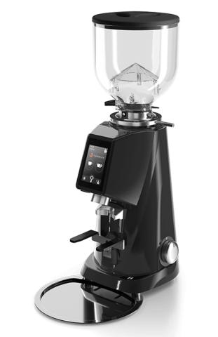 Профессиональная кофемолка FIORENZATO F4 ЕVO