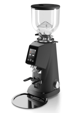 Профессиональная кофемолка FIORENZATO F4 ЕVO