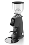 Профессиональная кофемолка FIORENZATO F4 ЕVO