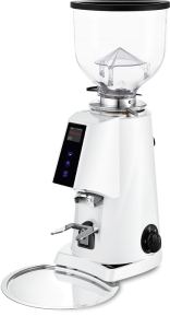 Профессиональная кофемолка FIORENZATO F4 Е