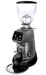 Профессиональная кофемолка Fiorenzato F64 E XGi