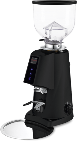 Профессиональная кофемолка FIORENZATO F4 Е