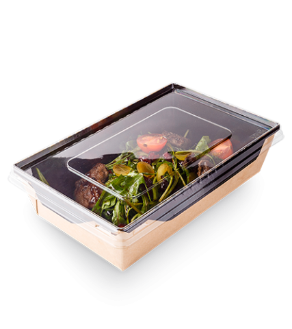 Контейнер OSQ OPSALAD 500 BE